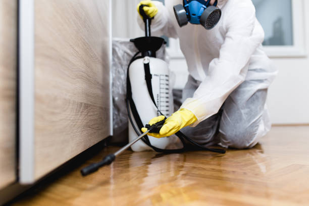 Best Wildlife Control Services  in Lovington, NM