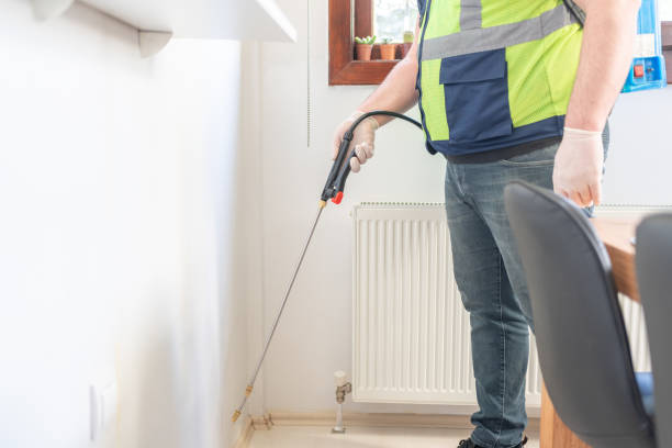 Best Termite Control Services  in Lovington, NM