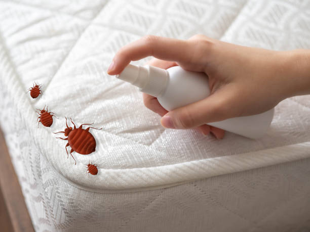 Best Pest Removal Services  in Lovington, NM