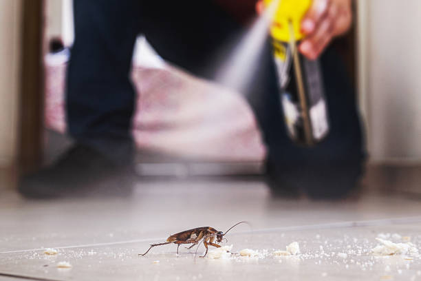 Best Best Pest Control Companies  in Lovington, NM