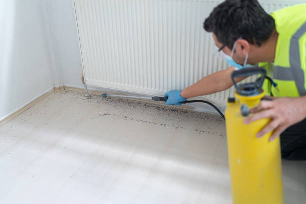 Best Insect Control  in Lovington, NM
