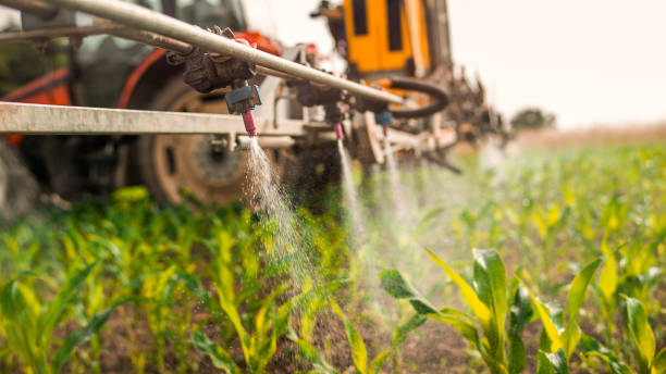 Best Wildlife Control Services  in Lovington, NM